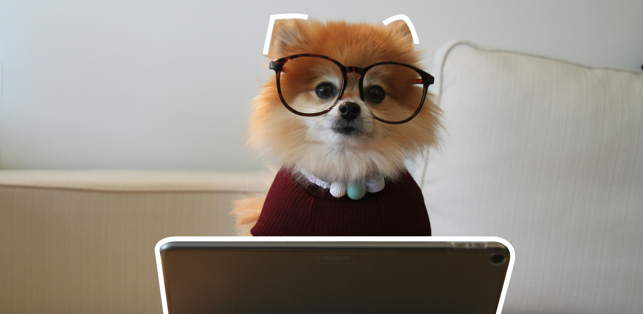 Квартира для айтишника: особенности ремонта